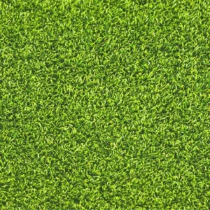 Field Green Olive and Lime