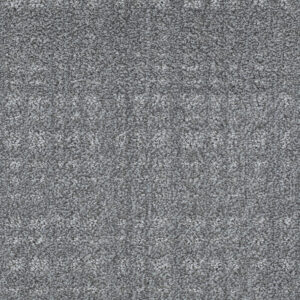 Grey Pussywillow