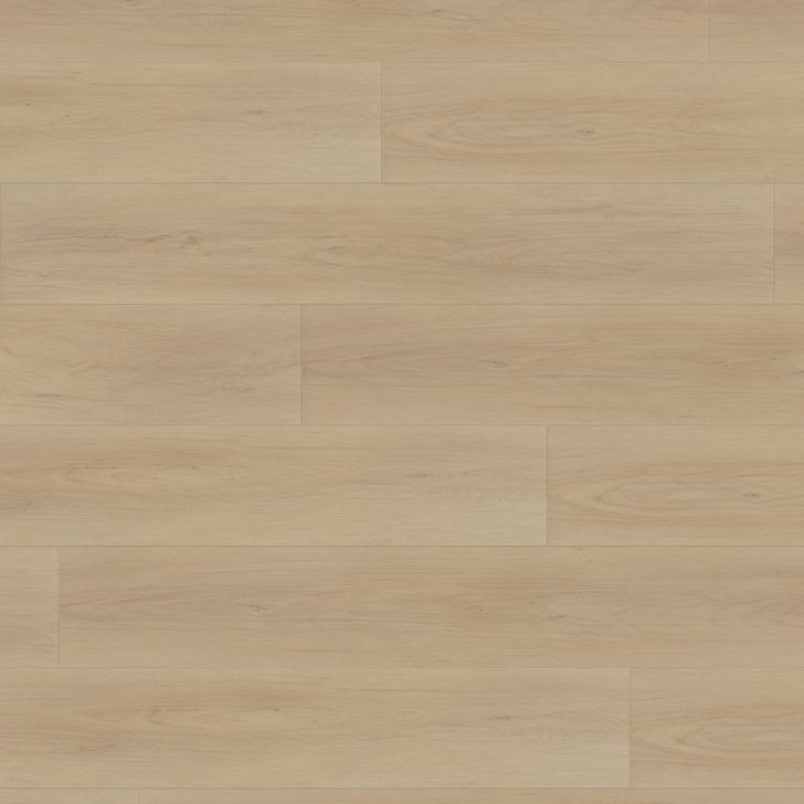 Beaulieu - Gallo Xtra Collection Beaulieu - Gallo Xtra Collection