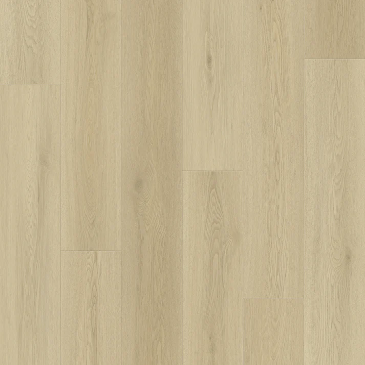 Oakel City - Master Step Collection Oakel City - Master Step Collection