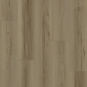 MS7503 Dolly
