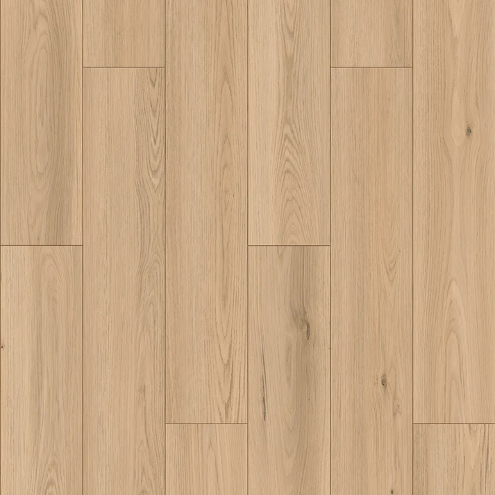 Oakel City - Master Step Collection Oakel City - Master Step Collection