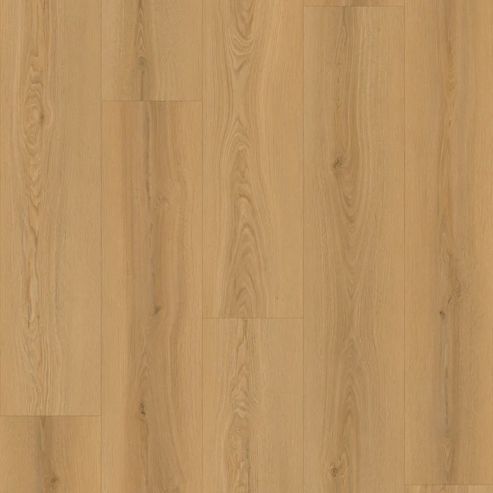 Oakel City - Master Step Collection Oakel City - Master Step Collection