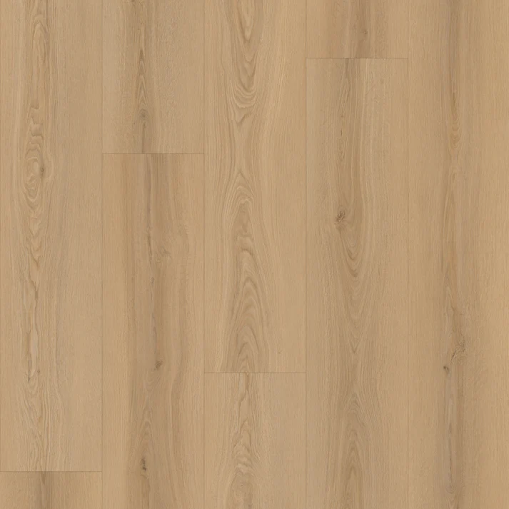 Oakel City - Master Step Collection Oakel City - Master Step Collection