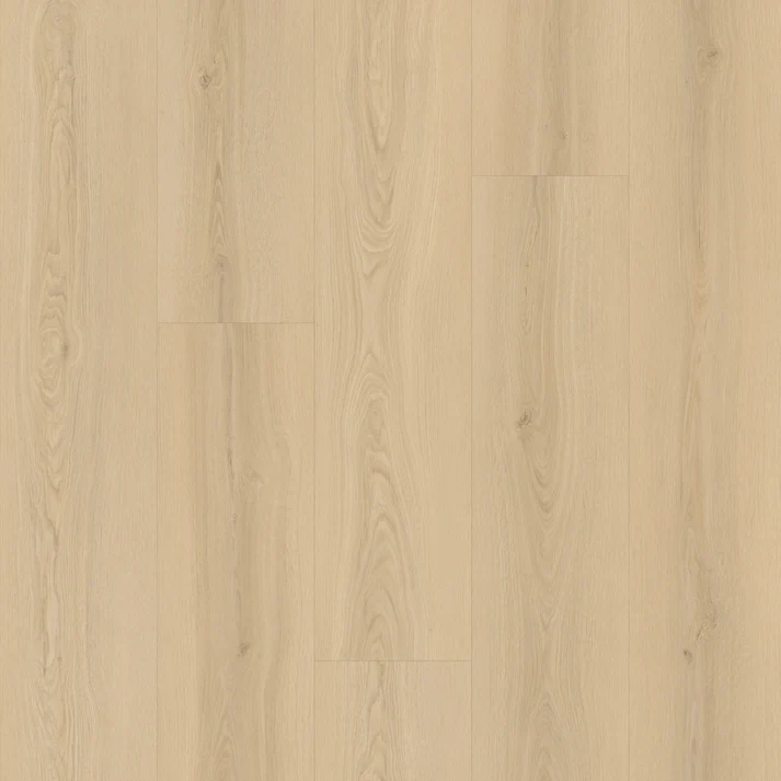 Oakel City - Master Step Collection Oakel City - Master Step Collection