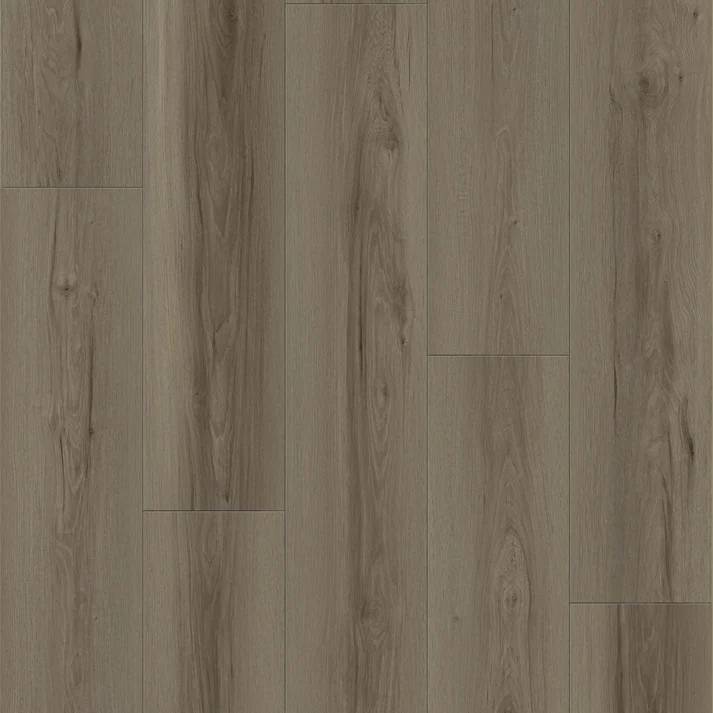 Oakel City - Master Step Collection Oakel City - Master Step Collection