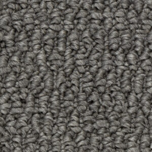 North American Grey
