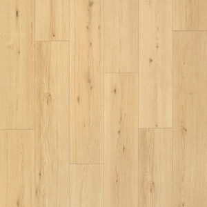 Oak Desentis