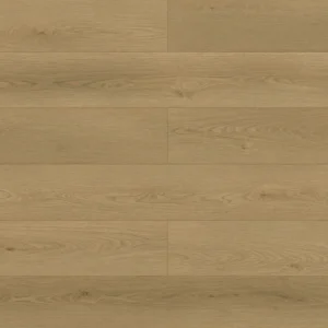 Oyster Oak