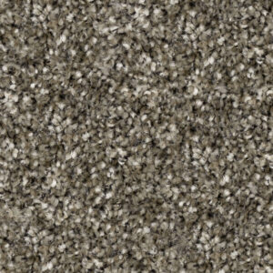 Wet Concrete