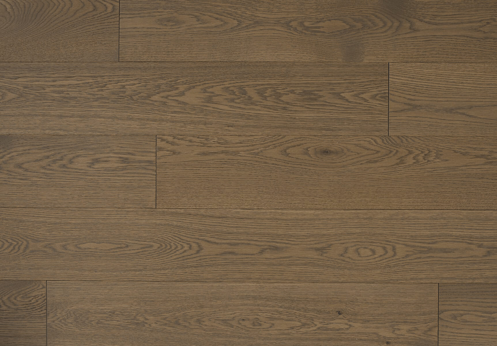 Appalachian - White Oak - 4-1/4" × RL Appalachian - White Oak - 4-1/4" × RL