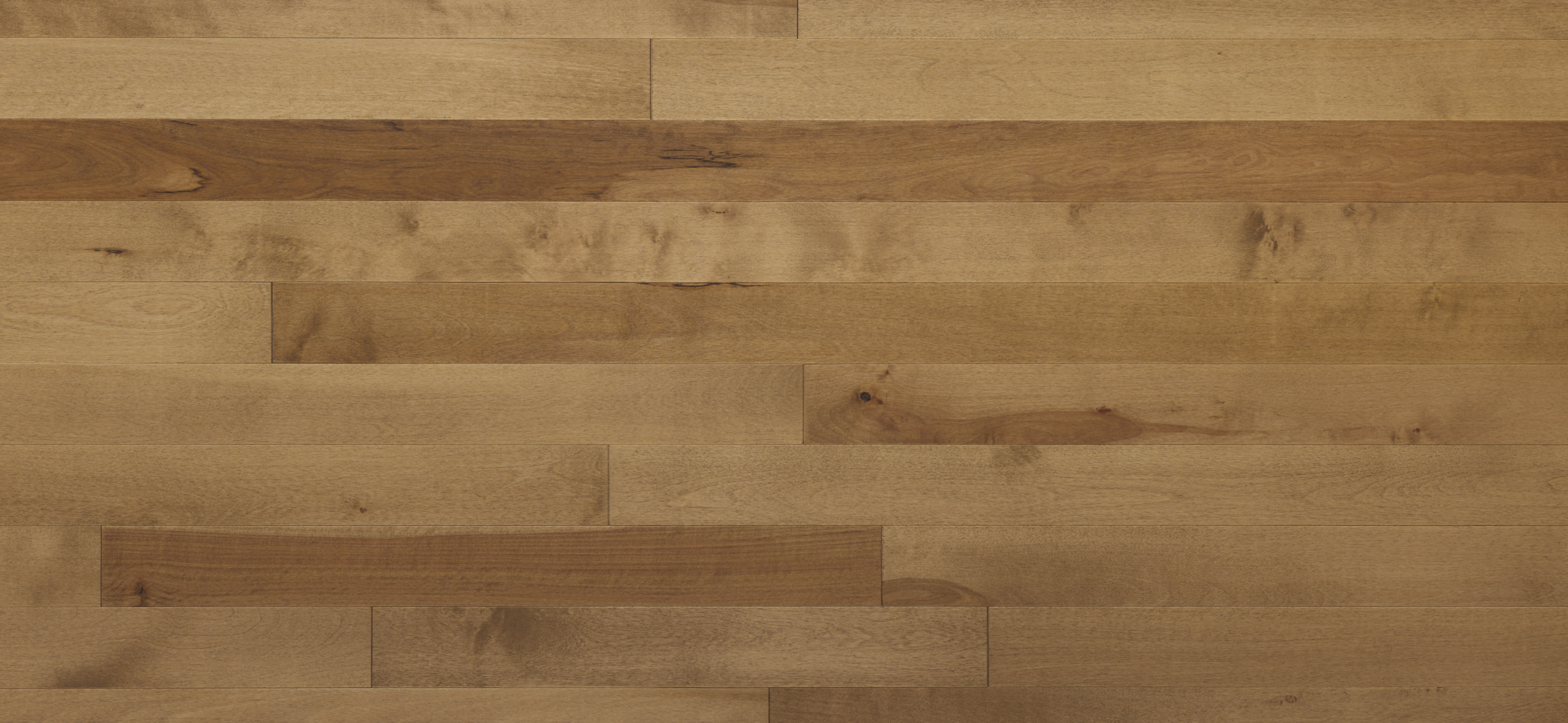 Appalachian - Yellow Birch - 4-1/4" × RL Appalachian - Yellow Birch - 4-1/4" × RL