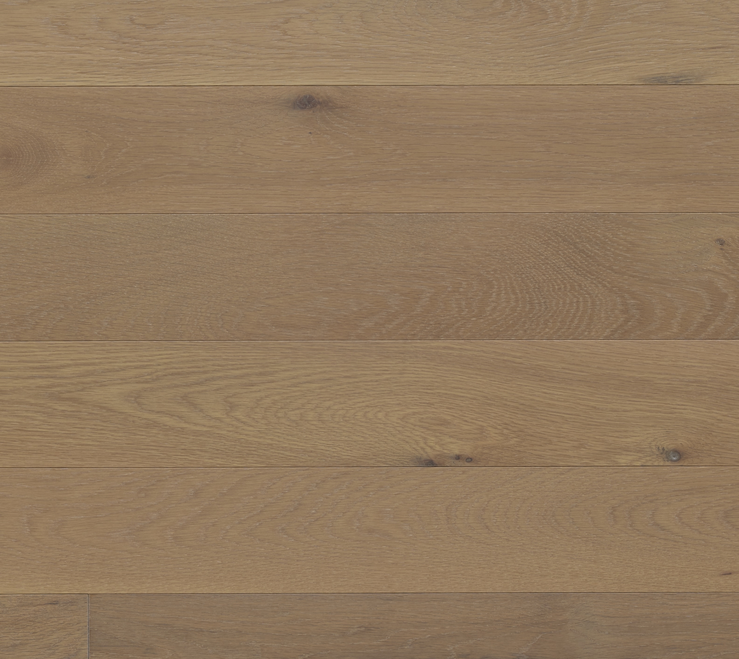 Appalachian - White Oak - 4-1/4" × RL Appalachian - White Oak - 4-1/4" × RL