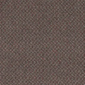 Centura – Broadloom – Quasar III 28 Collection