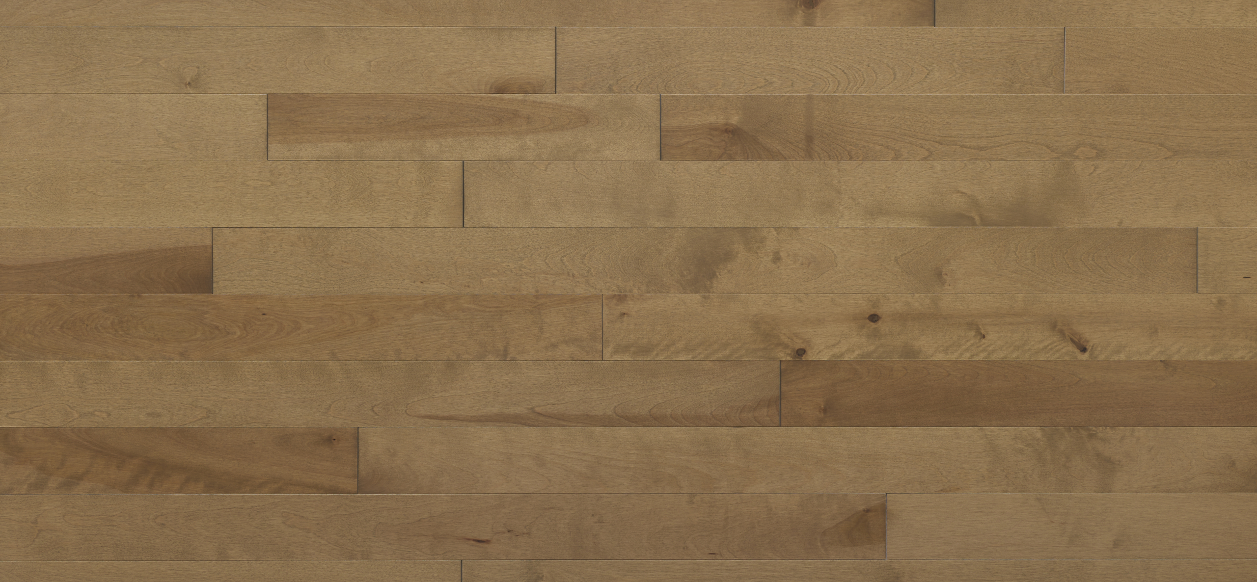 Appalachian - Yellow Birch - 4-1/4" × RL Appalachian - Yellow Birch - 4-1/4" × RL