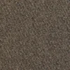 Centura – Broadloom – Doorfield Collection