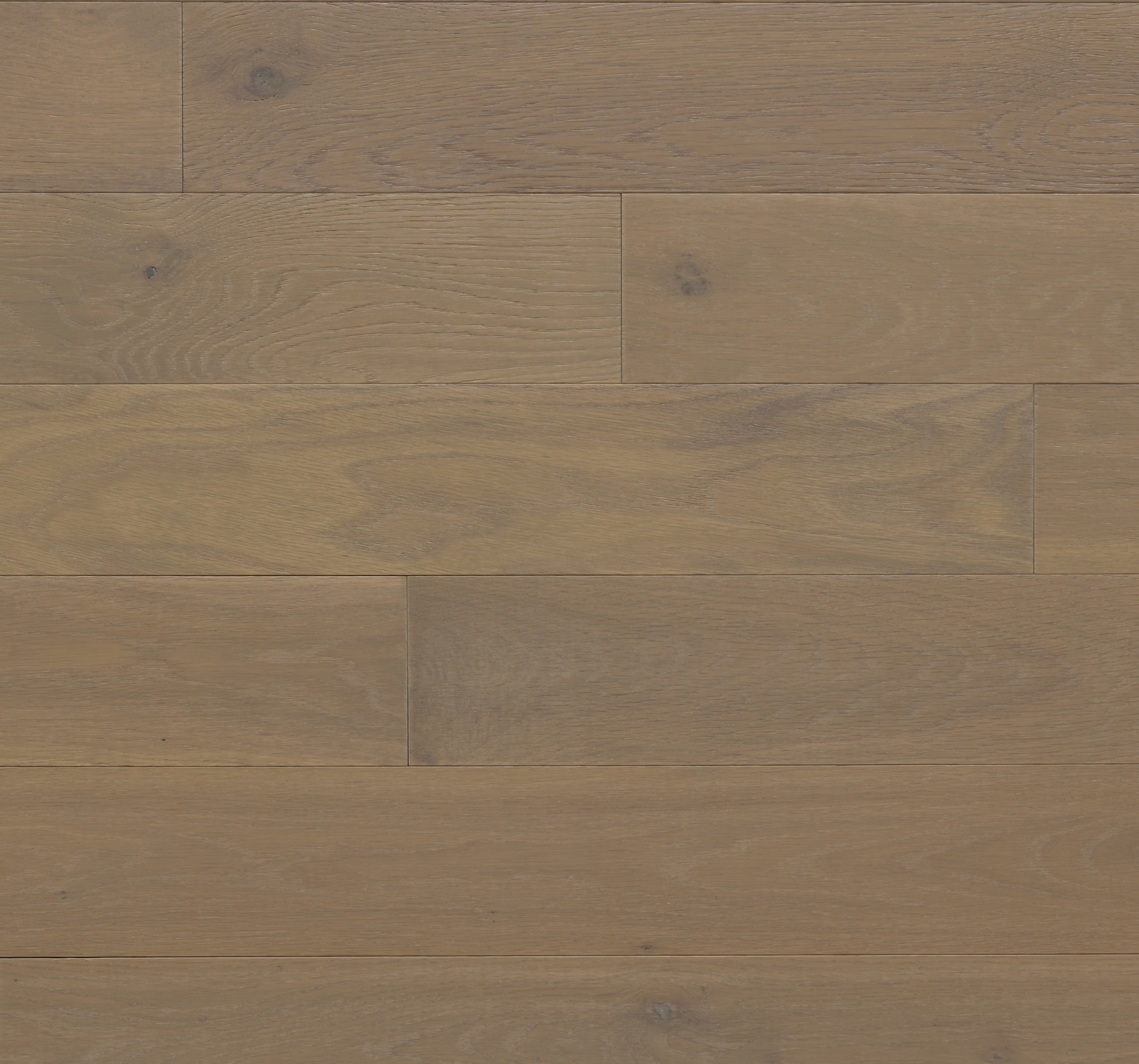 Appalachian - White Oak - 4-1/4" × RL Appalachian - White Oak - 4-1/4" × RL