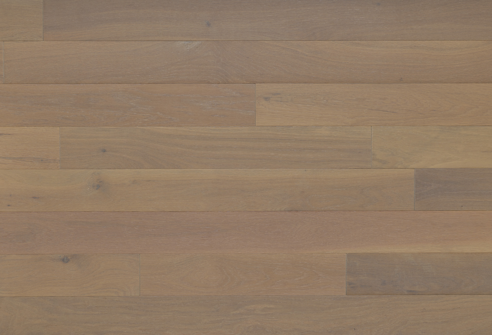 Appalachian - White Oak - 4-1/4" × RL Appalachian - White Oak - 4-1/4" × RL