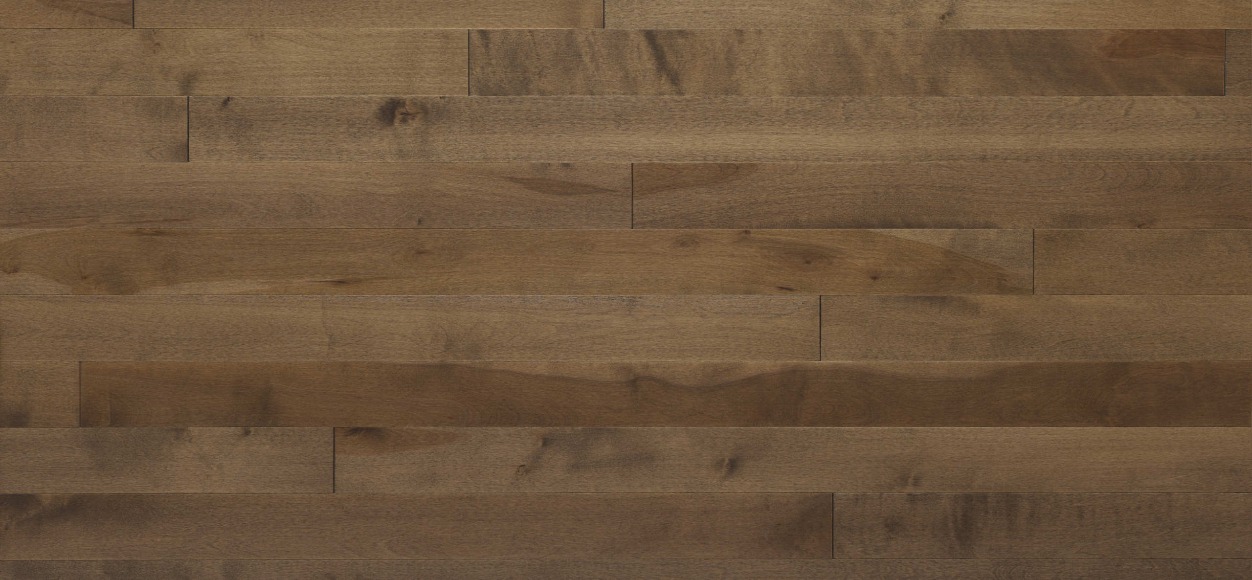 Appalachian - Yellow Birch - 4-1/4" × RL Appalachian - Yellow Birch - 4-1/4" × RL
