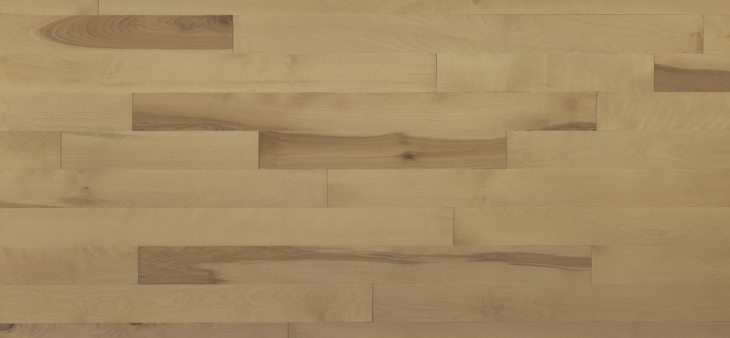 Appalachian - Yellow Birch - 4-1/4" × RL Appalachian - Yellow Birch - 4-1/4" × RL
