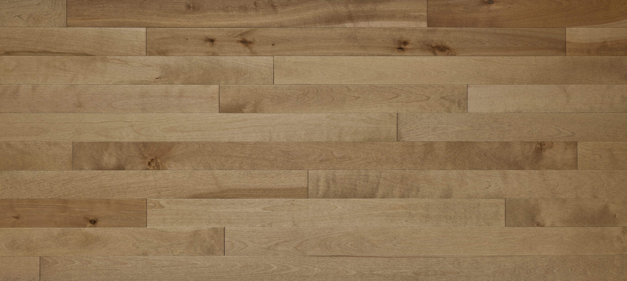 Appalachian - Yellow Birch - 4-1/4" × RL Appalachian - Yellow Birch - 4-1/4" × RL
