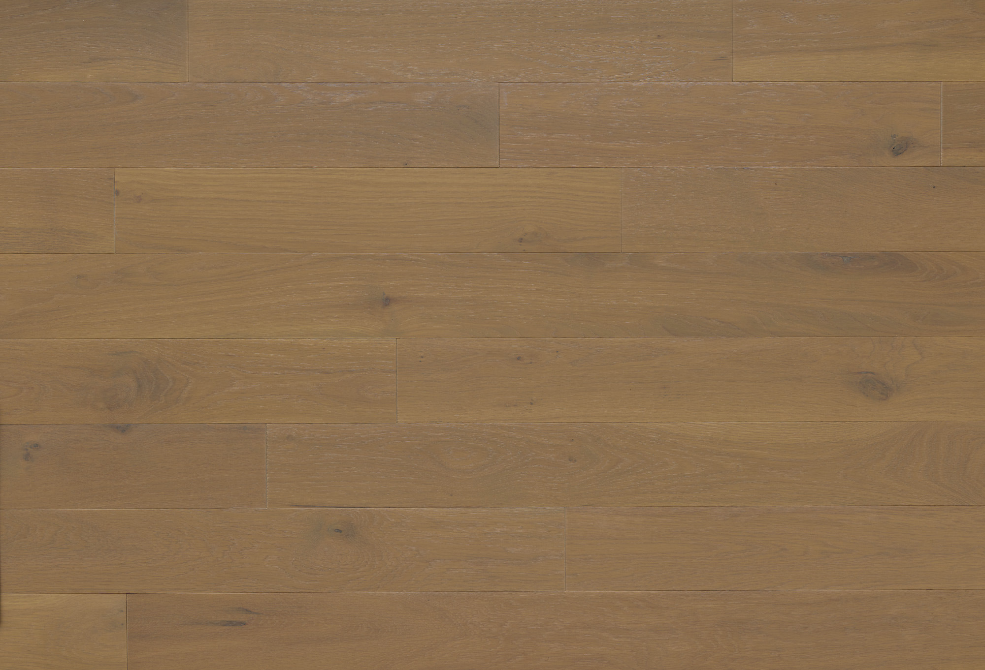 Appalachian - White Oak - 4-1/4" × RL Appalachian - White Oak - 4-1/4" × RL