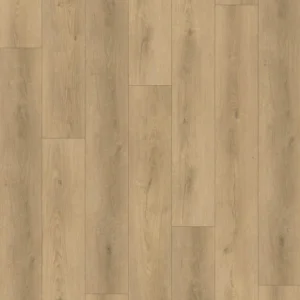 sora