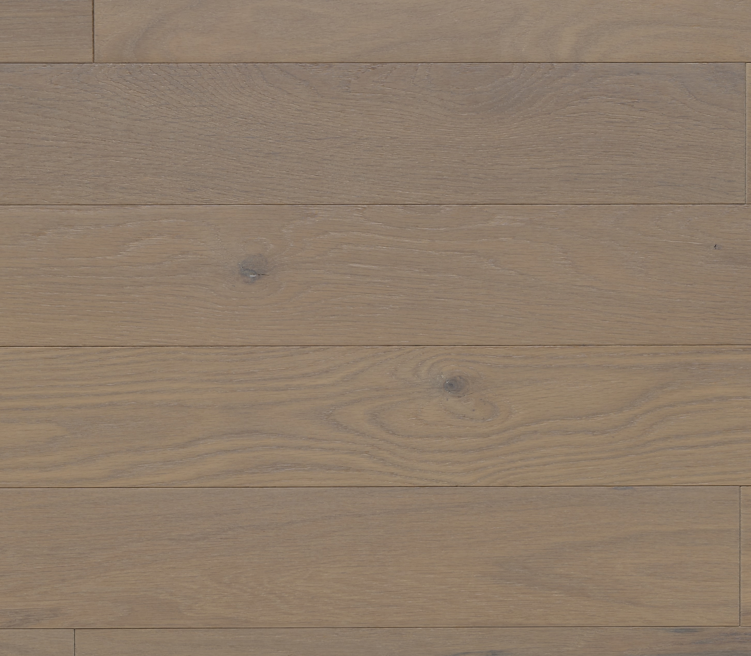 Appalachian - White Oak - 4-1/4" × RL Appalachian - White Oak - 4-1/4" × RL
