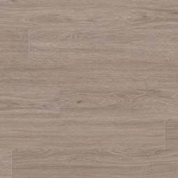 MSI - Glenridge MSI - Glenridge